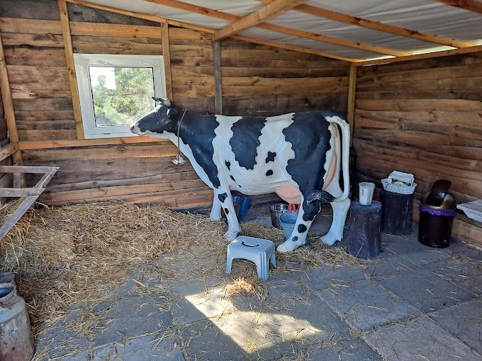 Maskotka krówka Krainy Przygód