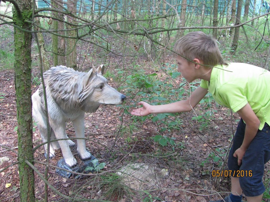 Strzelanie z Wiatrówki